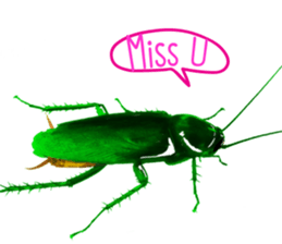 Cockroach In Love sticker #14936759