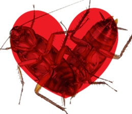 Cockroach In Love sticker #14936763