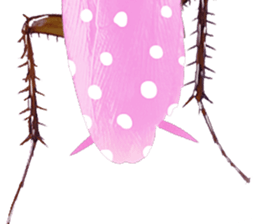 Cockroach In Love sticker #14936770