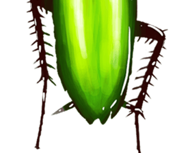 Cockroach In Love sticker #14936771