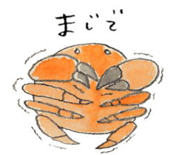 Mr.SubesubemanjuCrab sticker #14937086