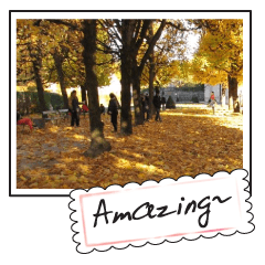 Landscape postcards series1