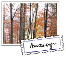 Landscape postcards series1 sticker #14939410
