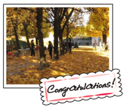 Landscape postcards series1 sticker #14939415