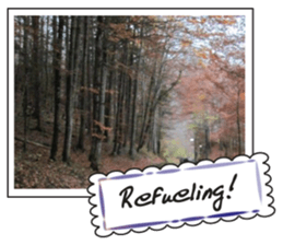 Landscape postcards series1 sticker #14939418