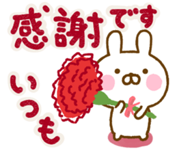 Rabbit Usahina friendly spring sticker #14940948