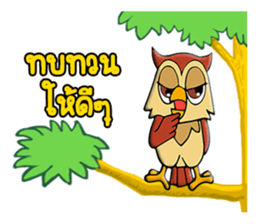 PAG Owl 2 sticker #14941110