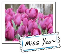 Beautiful Holland sticker #14941211