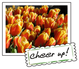 Beautiful Holland sticker #14941222