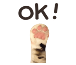 Mila Kitten sticker #14941938