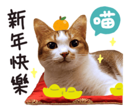 Mila Kitten sticker #14941940