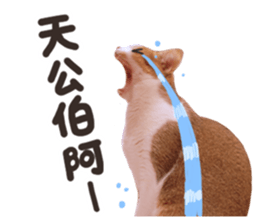 Mila Kitten sticker #14941948