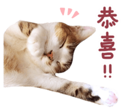 Mila Kitten sticker #14941949