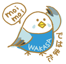 WAKASA sticker of a cat and parakeets! sticker #14942226