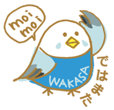 WAKASA sticker of a cat and parakeets! sticker #14942226