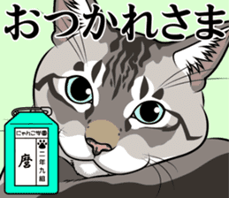 Nyanko school(PART10) sticker #14942781