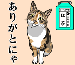 Nyanko school(PART10) sticker #14942782