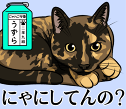 Nyanko school(PART10) sticker #14942783