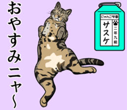 Nyanko school(PART10) sticker #14942785
