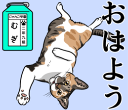 Nyanko school(PART10) sticker #14942791