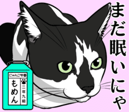 Nyanko school(PART10) sticker #14942796