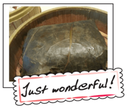 Food in the day3 sticker #14943069