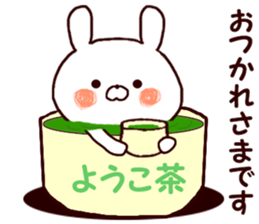 Name Sticker youko can be used sticker #14943912