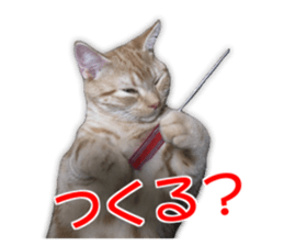 Cute cats everyday,Photo Ver sticker #14944024