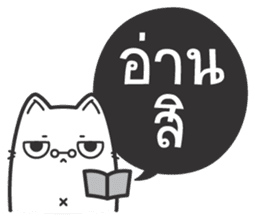 Kai-Guan is a cat sticker #14944366