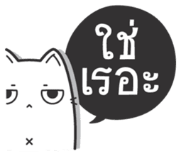 Kai-Guan is a cat sticker #14944379