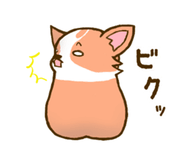 Naughty Corgi4 sticker #14945357