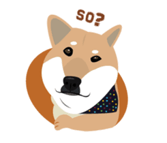 Shiba Sherry sticker #14946353