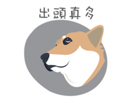 Shiba Sherry sticker #14946354