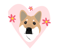 Shiba Sherry sticker #14946357