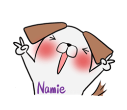 NAMIE's exclusive sticker sticker #14946900