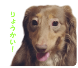 rossi!! sticker #14946951