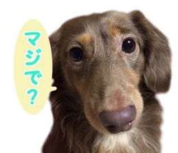 rossi!! sticker #14946952