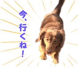 rossi!! sticker #14946953