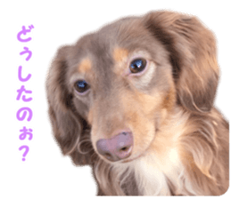 rossi!! sticker #14946954