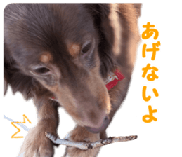 rossi!! sticker #14946955