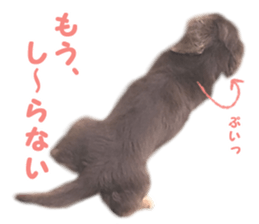 rossi!! sticker #14946956