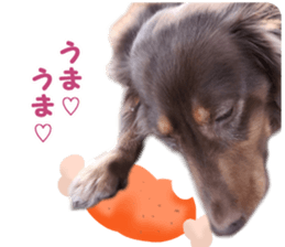 rossi!! sticker #14946957