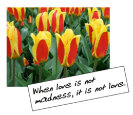 flowers with love greeting card sticker #14948785