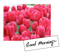 flowers with love greeting card sticker #14948786