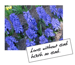 flowers with love greeting card sticker #14948787
