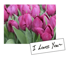 flowers with love greeting card sticker #14948788