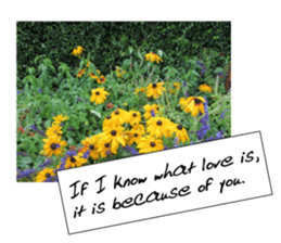 flowers with love greeting card sticker #14948791