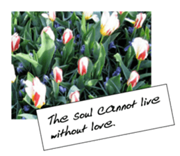 flowers with love greeting card sticker #14948795