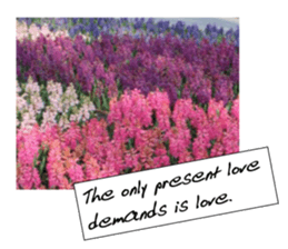 flowers with love greeting card sticker #14948799