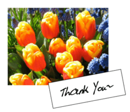 flowers with love greeting card sticker #14948801
